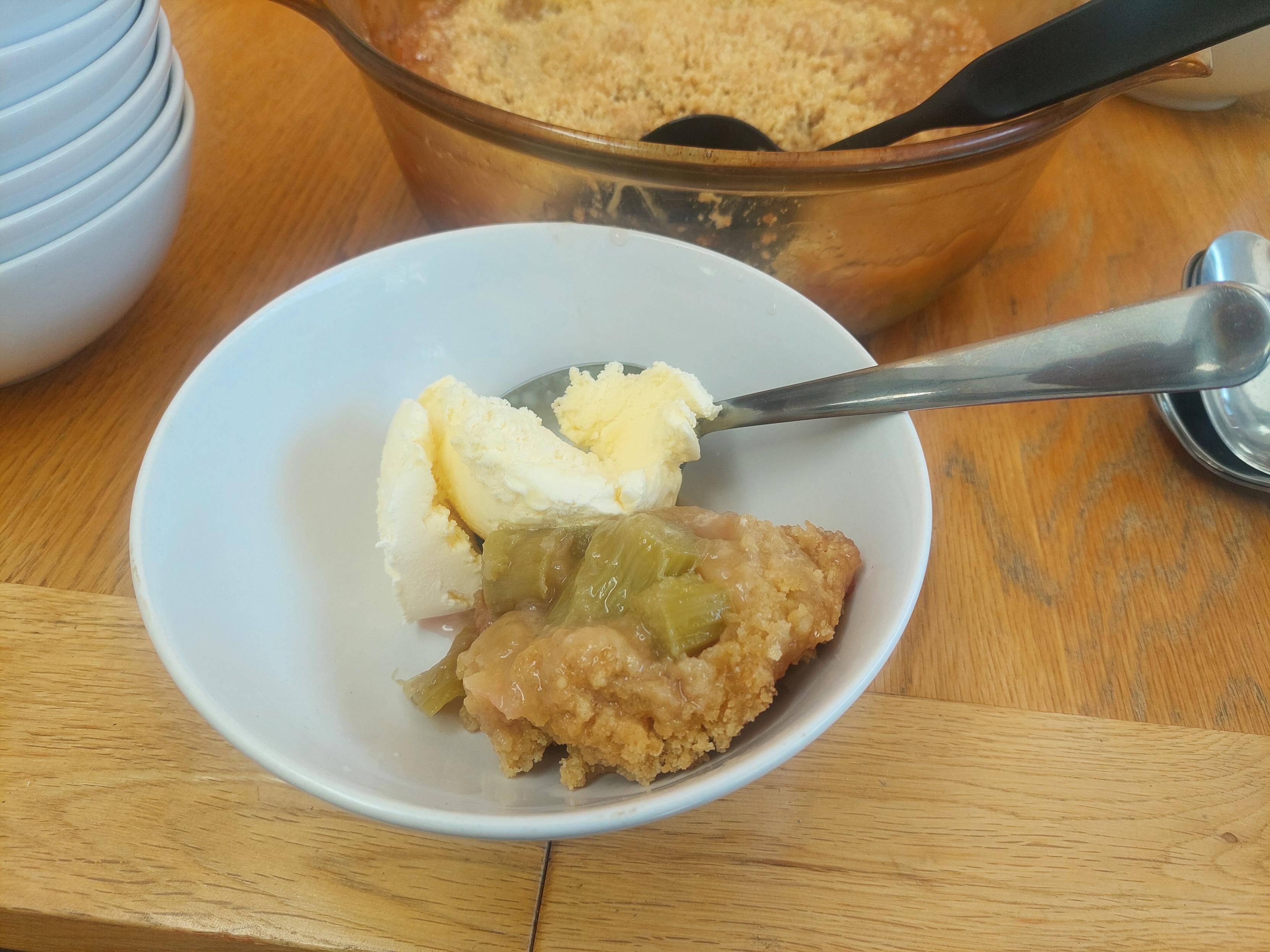 A bowl of rhubarb crumble with icecream.