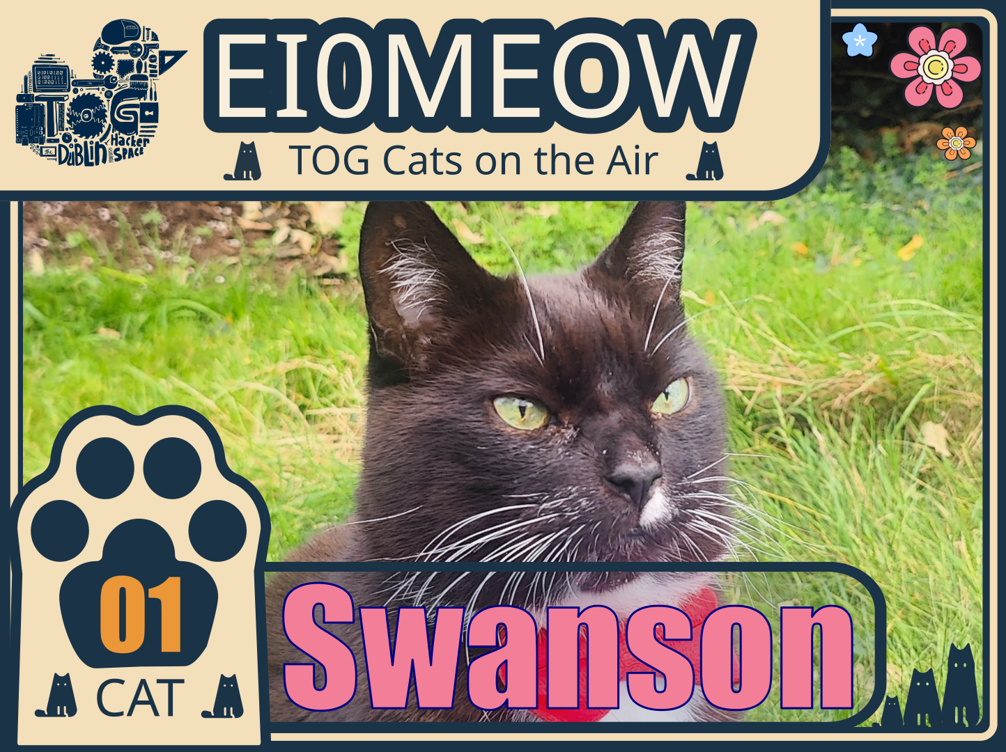 Promotional SSTV image for the amateur radio special event callsign EI0MEOW. The graphic features Swanson, a black cat with green eyes lying in grass. Across the top are the words “EI0MEOW – TOG Cats on the Air,” alongside the TOG Dublin Hackerspace logo. A large paw-shaped badge identifies the image as “Cat 01,” and Swanson’s name appears in large pink lettering across the bottom.