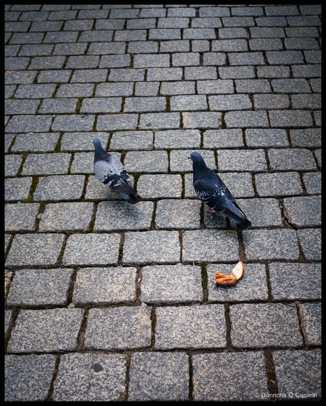 Looking down at two feral pigeons standing on grey granite setts, one turned side-on with its red eye visible and the other walking away with its back to the camera, both moving away from a torn piece of a white bread roll lying on the stones behind them, with moss growing in some of the joints between the setts.
