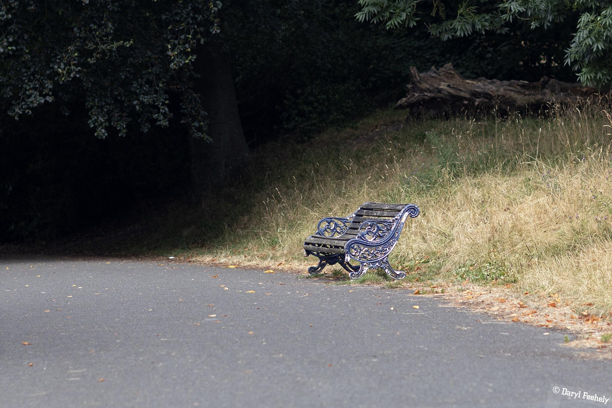 An empty park bench just outside the shadow of a tree.