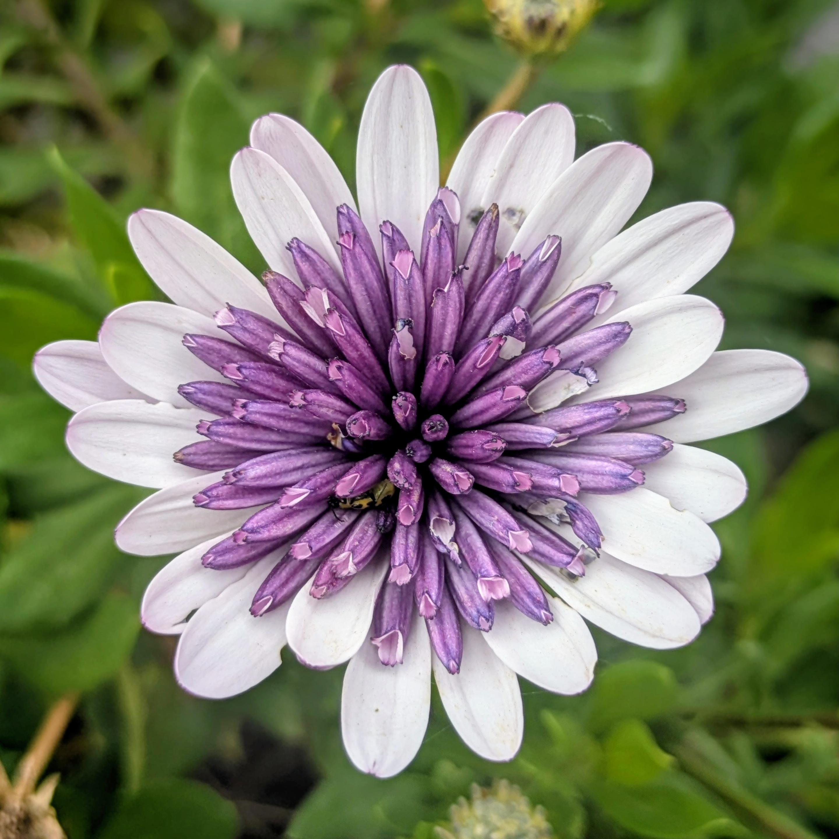 Sorry, no caption provided by author