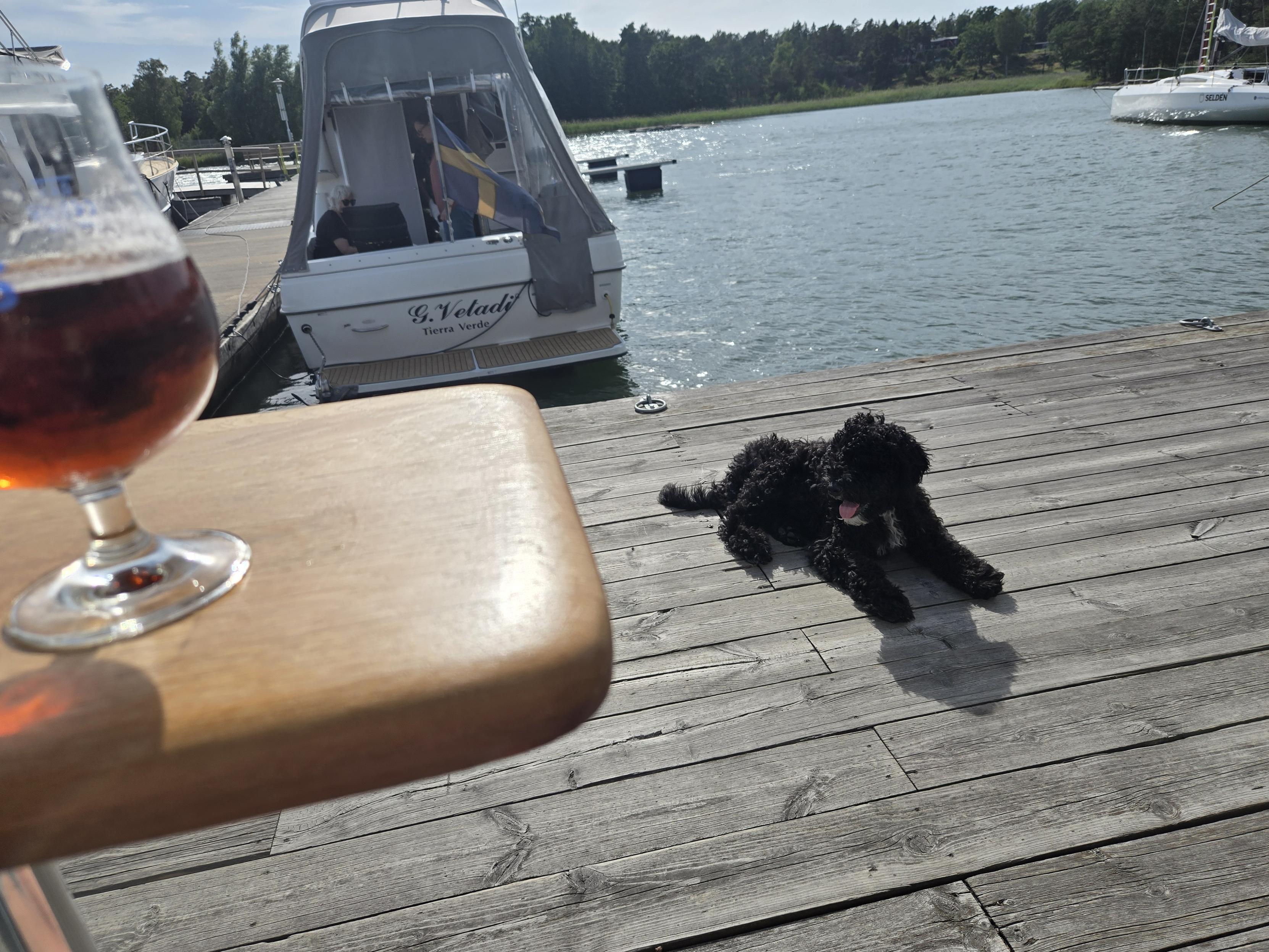 Edge of a small table with a glass of beer, black doggo lying on the wharf. Water and boats