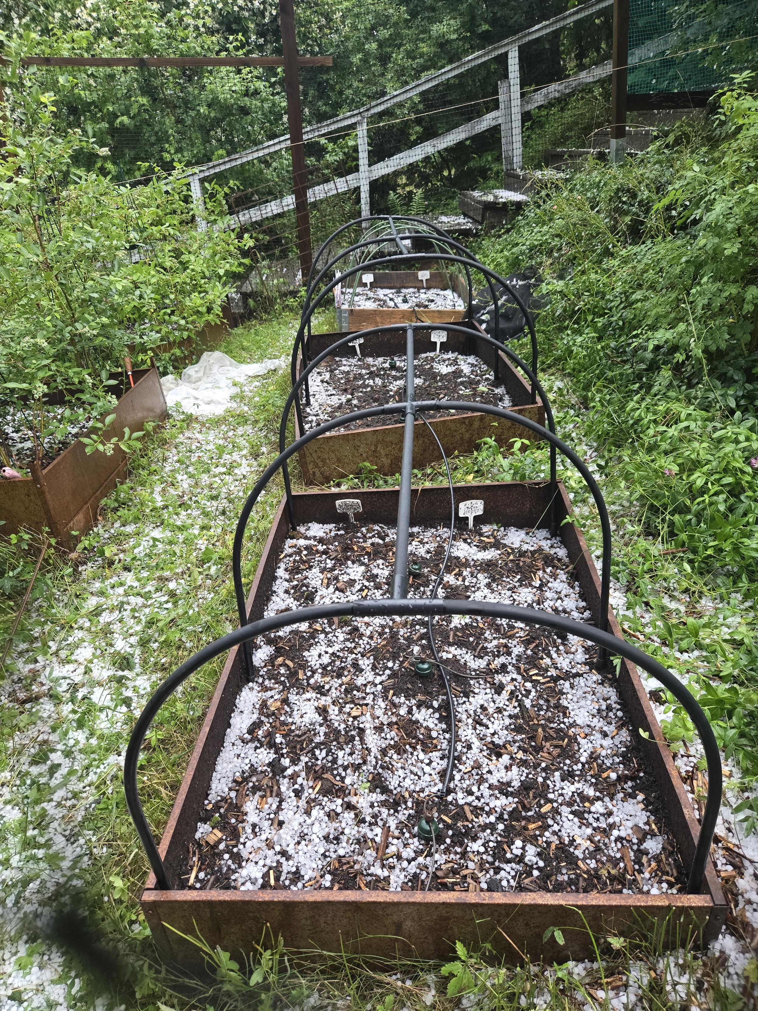 Tre odlingslådor m hagel i