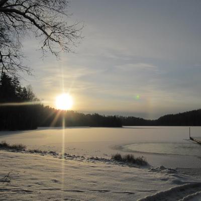 jojolumi@mastodontti.fi