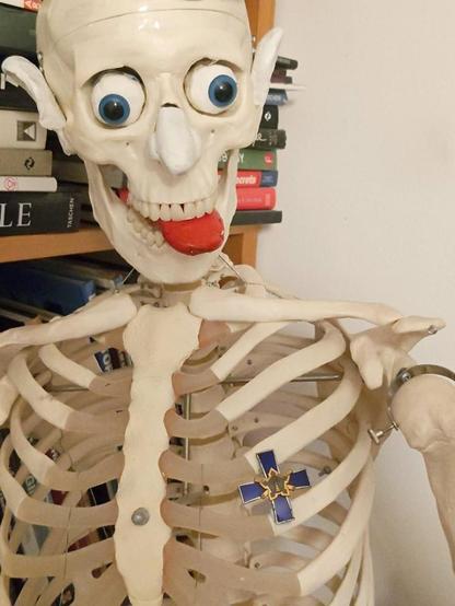 Puoliluvassa muovinen täyskokoinen luuranko, jonka rinnassa vasemmalla puolella, kuvassa oikealla, ristimuotoinen kunniamerkki