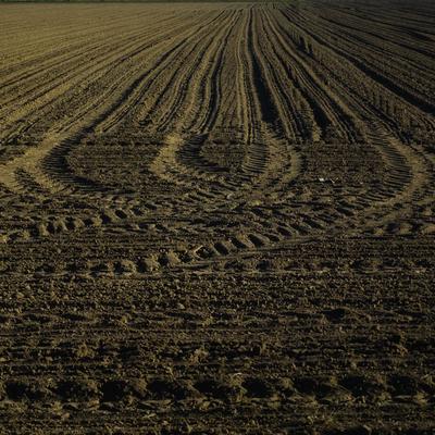 bonophoto3@mastodon.uno