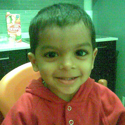 pecoraroamal@mastodon.uno