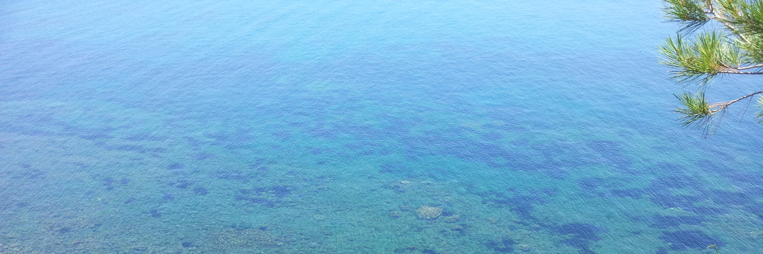 Header Image
