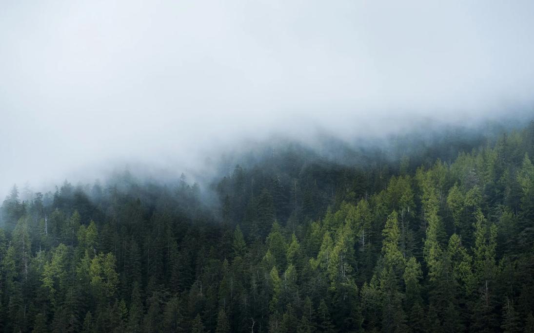 User banner