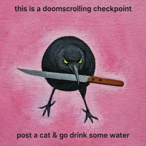 Image: Illustration of black crow holding shiny knife in its beak with the caption "this is a doomscrolling checkpoint. post a cat & go drink some water".