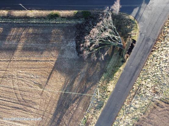 Drone photo of fallen tree