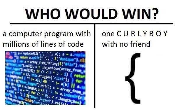 Meme titled “WHO WOULD WIN?” shows a battle between: left side, a massive computer program with millions of lines of code; right side, a single curly brace (”{”) labeled “one C U R L Y B O Y with no friend.” The implication: one missing bracket can destroy an entire program.