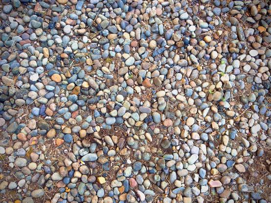 Smooth rocks of many different colors fill the frame, along with pine needles and small patches of dirt, all under the soft shade of a nearby tree.