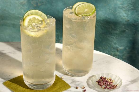 Wild Gin & Tonic Recipe