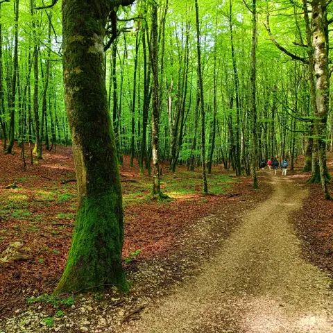De Roncevaux à Zubiri