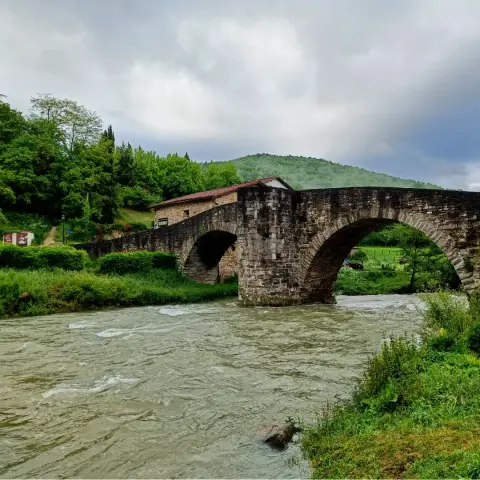 De Zubiri à Pampelune