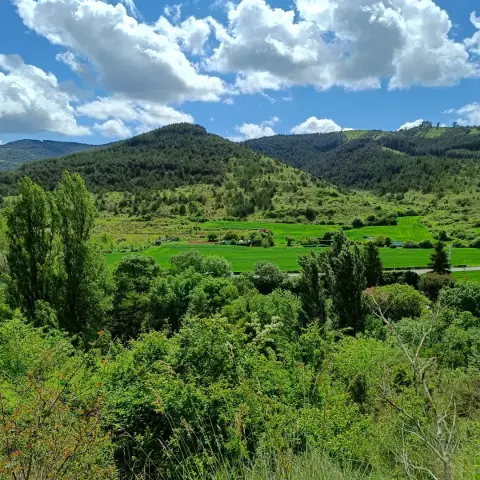 De Zubiri à Pampelune