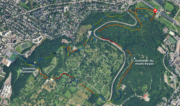 Vue aérienne du mont Royal avec un trajet de course entre le sommet Outremont et le sommet du mont Royal (source : Garmin Connect)