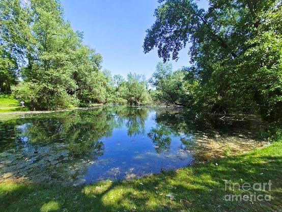A serene pond reflects the surrounding lush greenery and clear blue sky. Sunlight filters through the trees, casting gentle shadows on the grassy banks.
Lake at Bundek Park Zagreb, Croatia