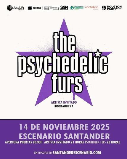 The Psychedelic Furs