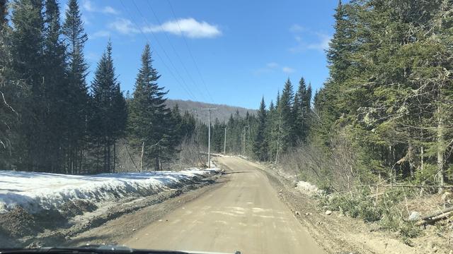 Un chemin de terre à travers la forêt. Au loin, une montagne. Au sol, de la neige.