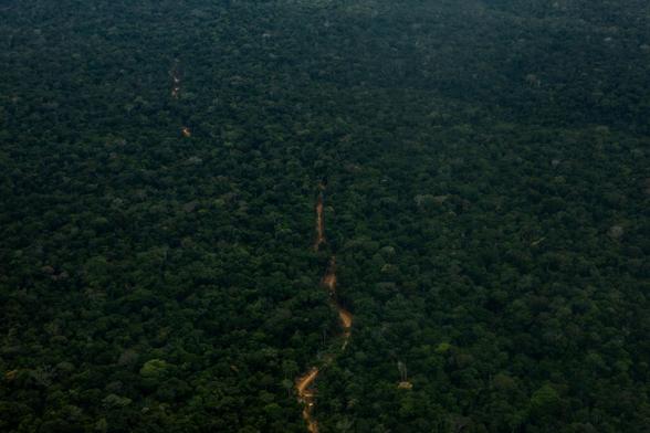 DESAFÍO. La pérdida de acceso a imágenes satelitales de alta resolución dificulta el monitoreo efectivo de la deforestación en la Amazonía peruana.