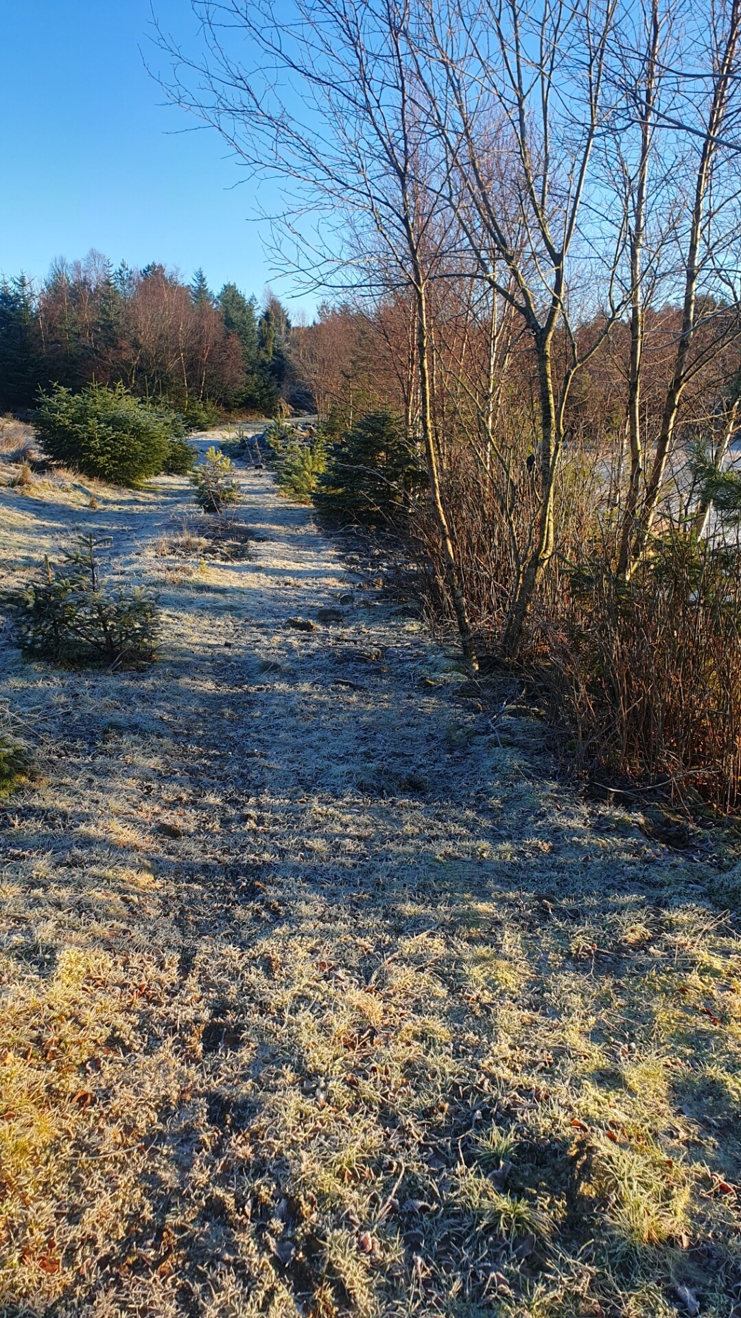 A path around a frozen lake in Tysvaer Norway