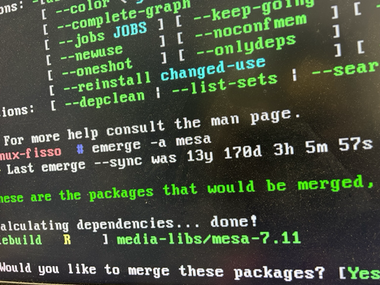 Terminale Linux con i dati del last “emerge —sync”