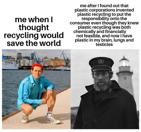 L'immagine è un meme diviso in due sezioni. Nella sezione sinistra, c'è una foto di un uomo in posa, seduto a terra con le gambe incrociate, indossando un completo sportivo blu e una maglietta coordinata, con un berretto rosso. Lo sfondo mostra un porto con navi e gru. Il testo sopra questa immagine recita: "me when I thought recycling would save the world".

Nella sezione destra, c'è una foto in bianco e nero di un uomo con barba e cappello da marinaio, con un'espressione seria. Lo sfondo è un faro. Il testo sopra questa immagine recita: "me after I found out that plastic corporations invented plastic recycling to put the responsibility onto the consumer even though they knew plastic recycling was both chemically and financially not feasible, and now I have plastic in my brain, lungs and testicles".

Il meme critica la percezione comune che il riciclo possa salvare il mondo, svelando la realtà che le imprese di plastica hanno creato il riciclo per spostare la responsabilità sul consumatore, pur sapendo che il riciclo di plastica non è praticabile.
