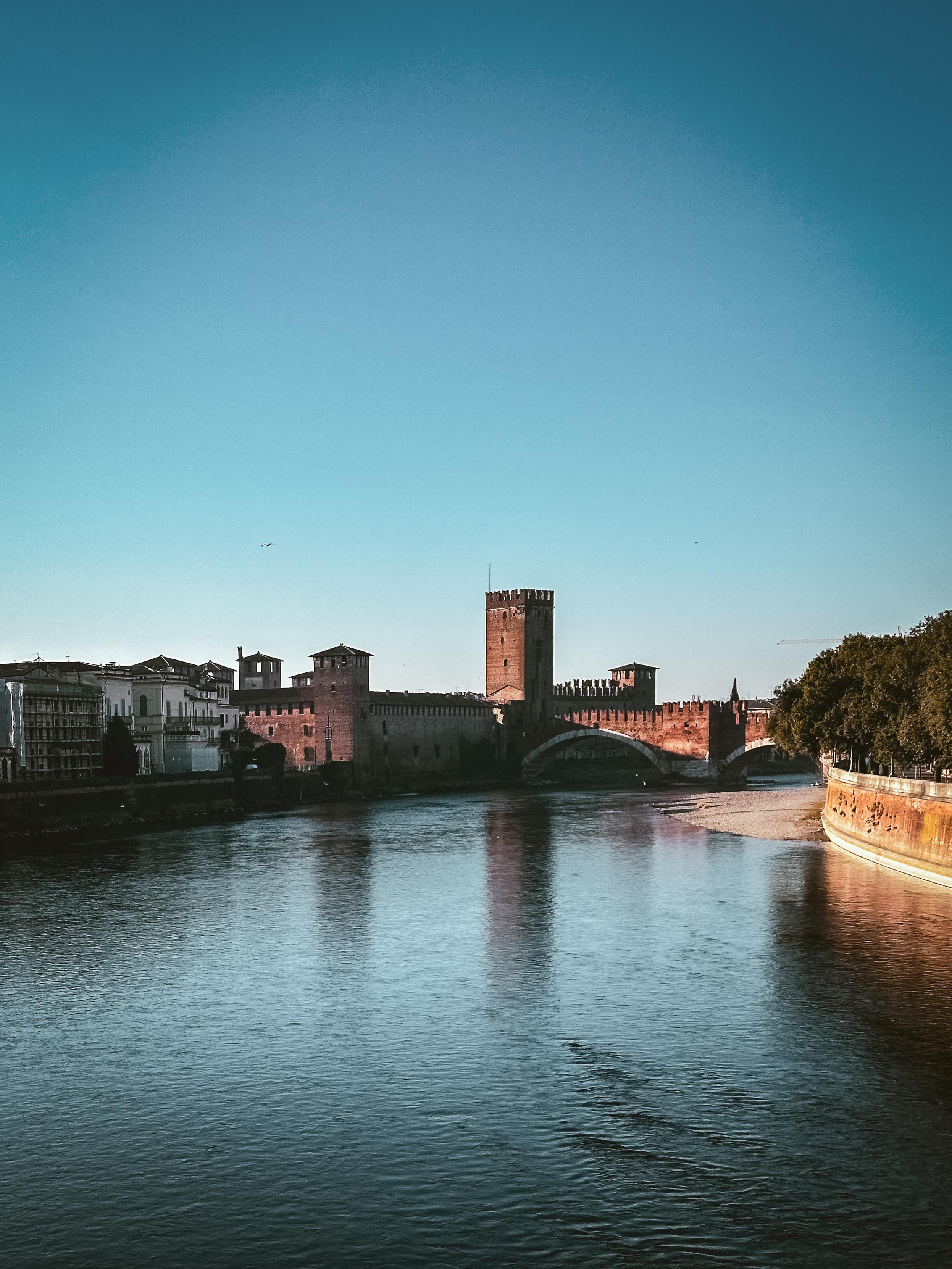 Sorry, no caption provided by author