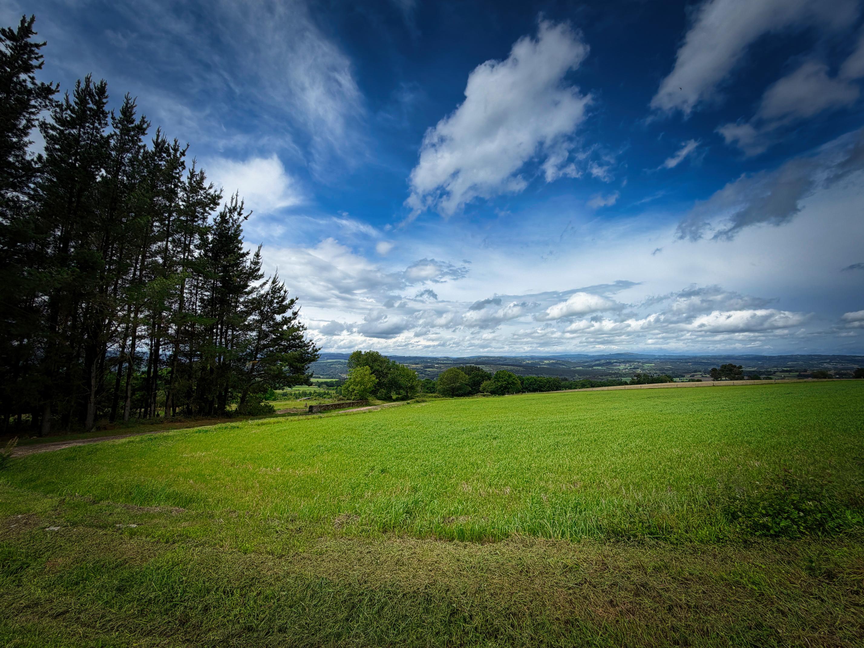 Paesaggio aperto con verdi campi, alberi a sinistra e cielo nuvoloso con aree di blu.
