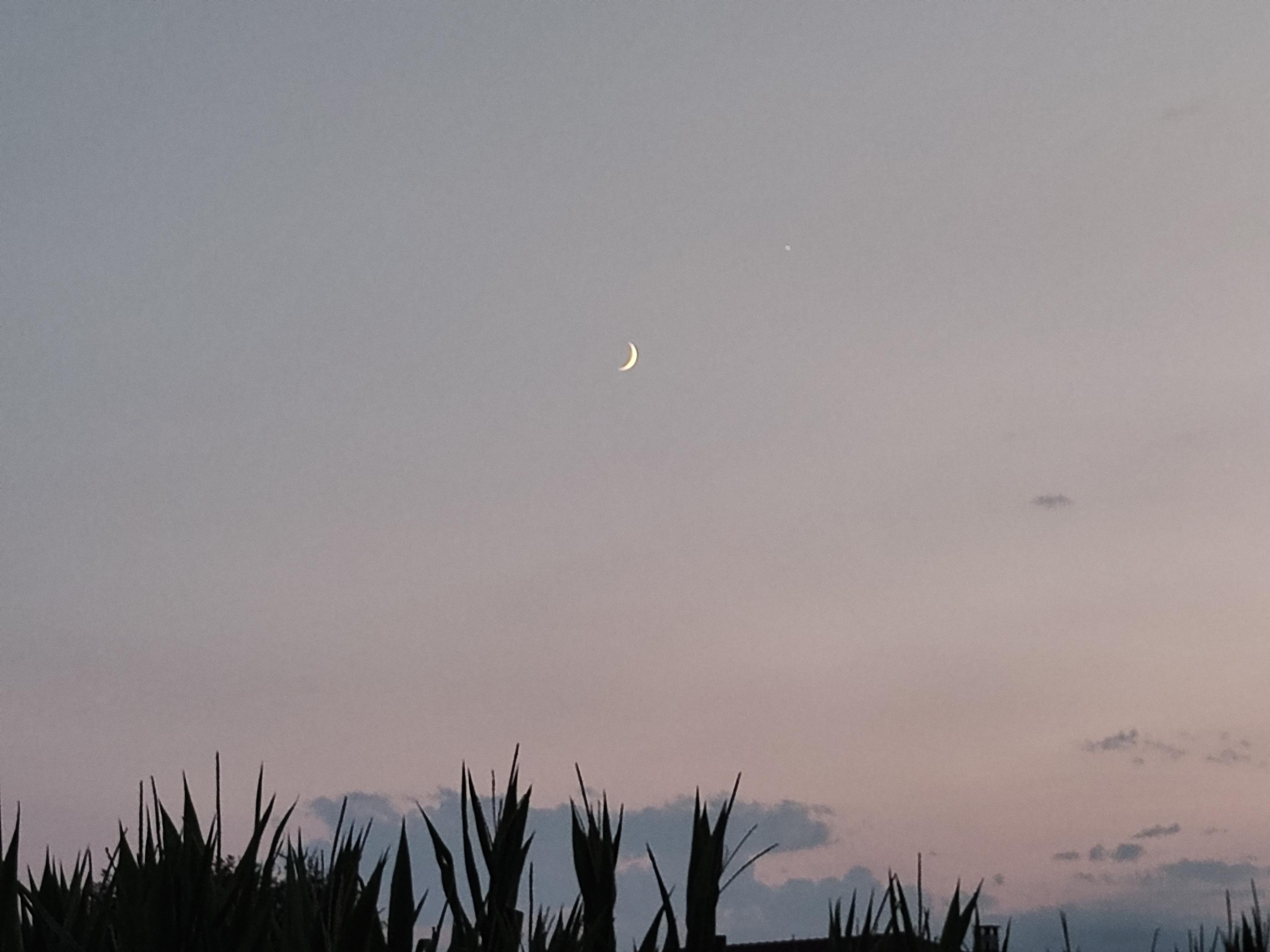 falce di luna crescente ph. 17/7/26 ore 21.32