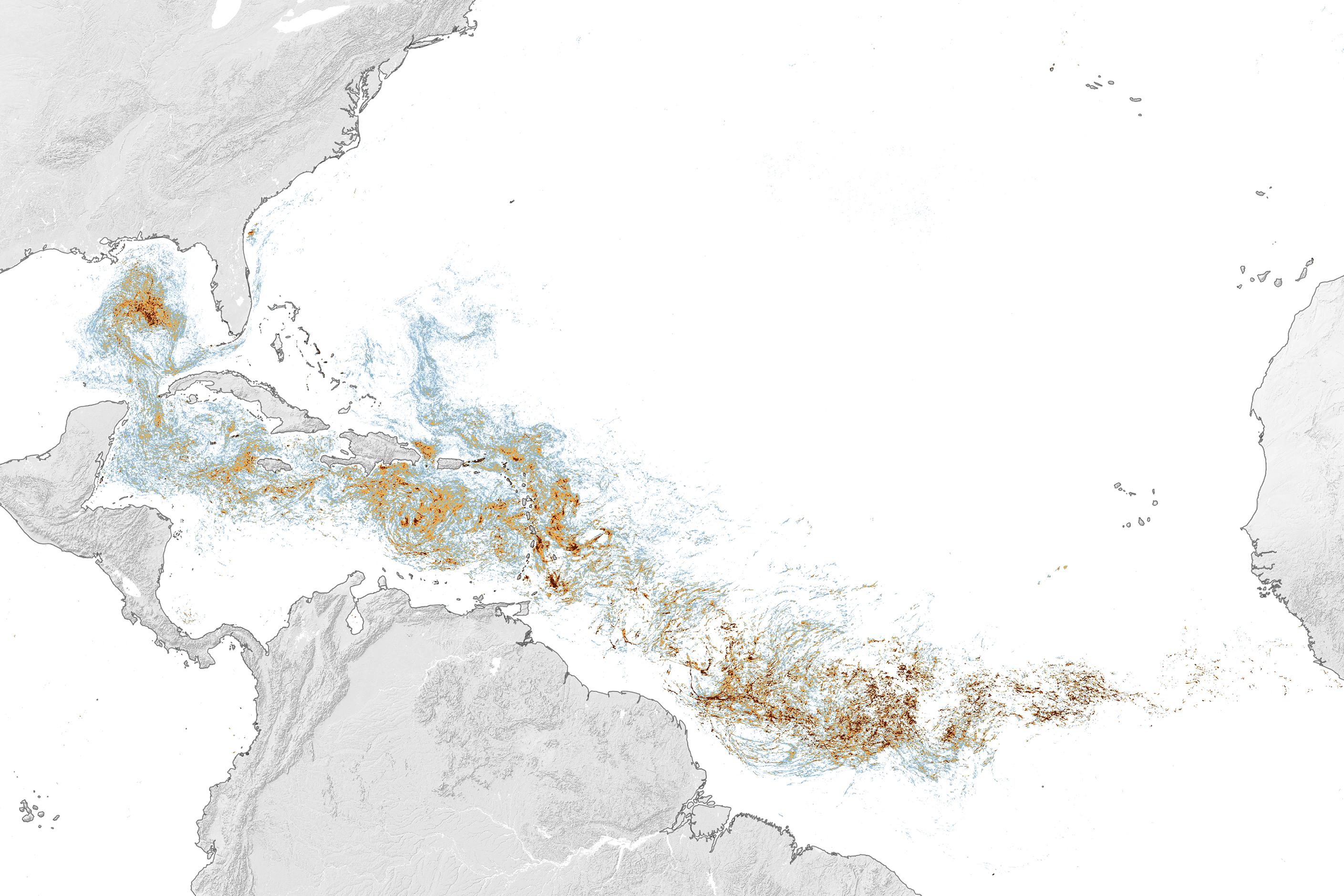 Questa vista dettagliata della stessa mappa dell'OCI di PACE evidenzia le concentrazioni di Sargassum nel Mar dei Caraibi e nel Golfo d'America, entrambi caratterizzati da quantità record di queste alghe galleggianti nel giugno 2026.