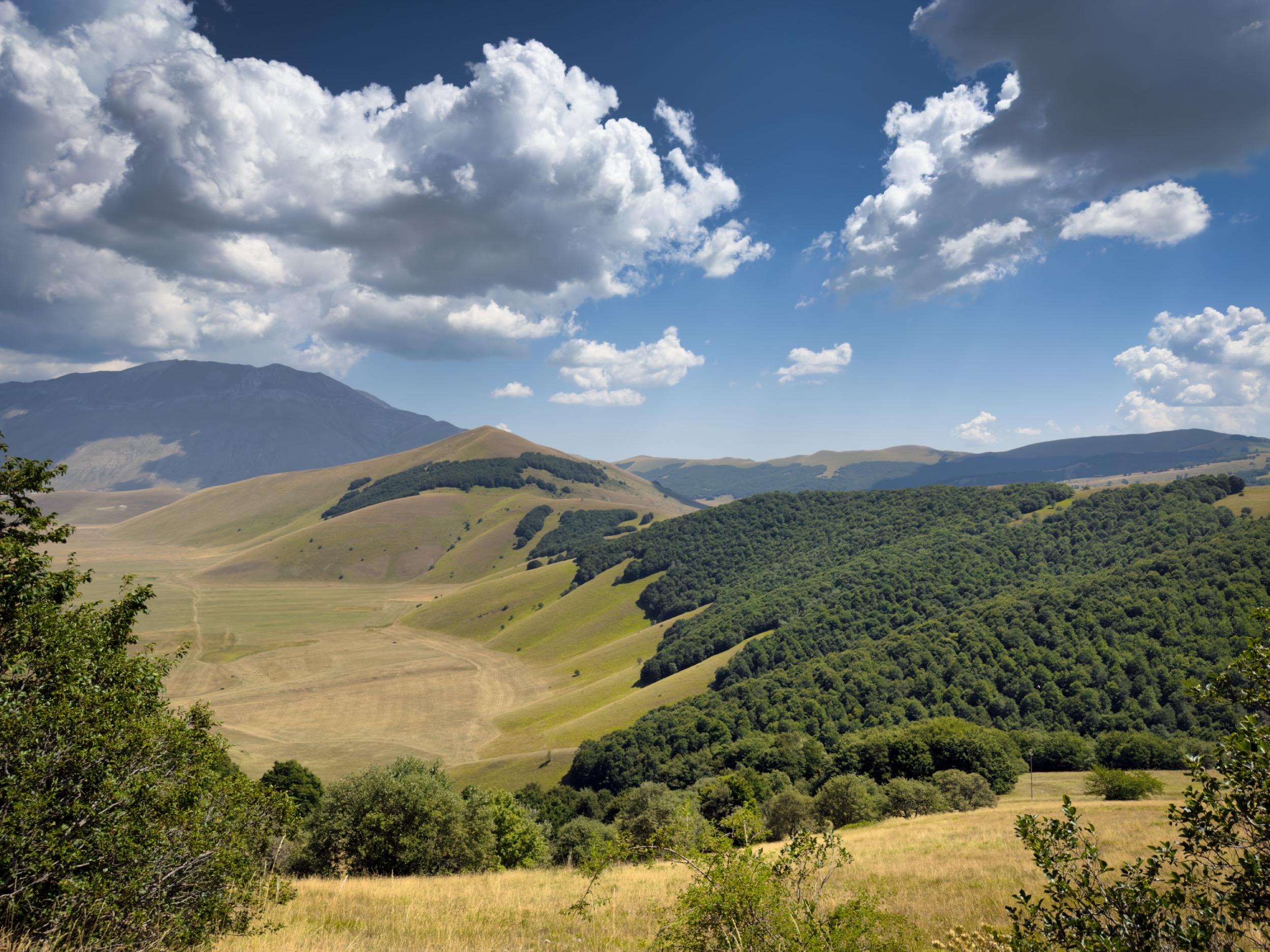 Castelluccio
Paesaggio di colline verdi e montagne sotto un cielo con nuvole bianche e un cielo blu.