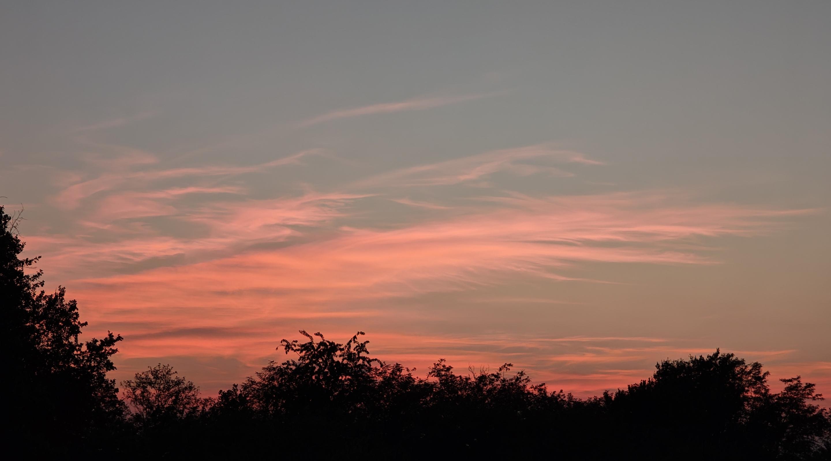 Il tramonto mostra un cielo sfumato con tonalità che vanno dal grigio-azzurro all'arancione vivo.
Velature leggere attraversano il cielo in senso orizzontale.
Le nuvole al centro riflettono un colore rosa intenso e arancione.
La parte superiore del cielo sfuma verso un grigio chiaro e freddo.
La linea dell'orizzonte è delineata dalle sagome nere di alberi e cespugli.