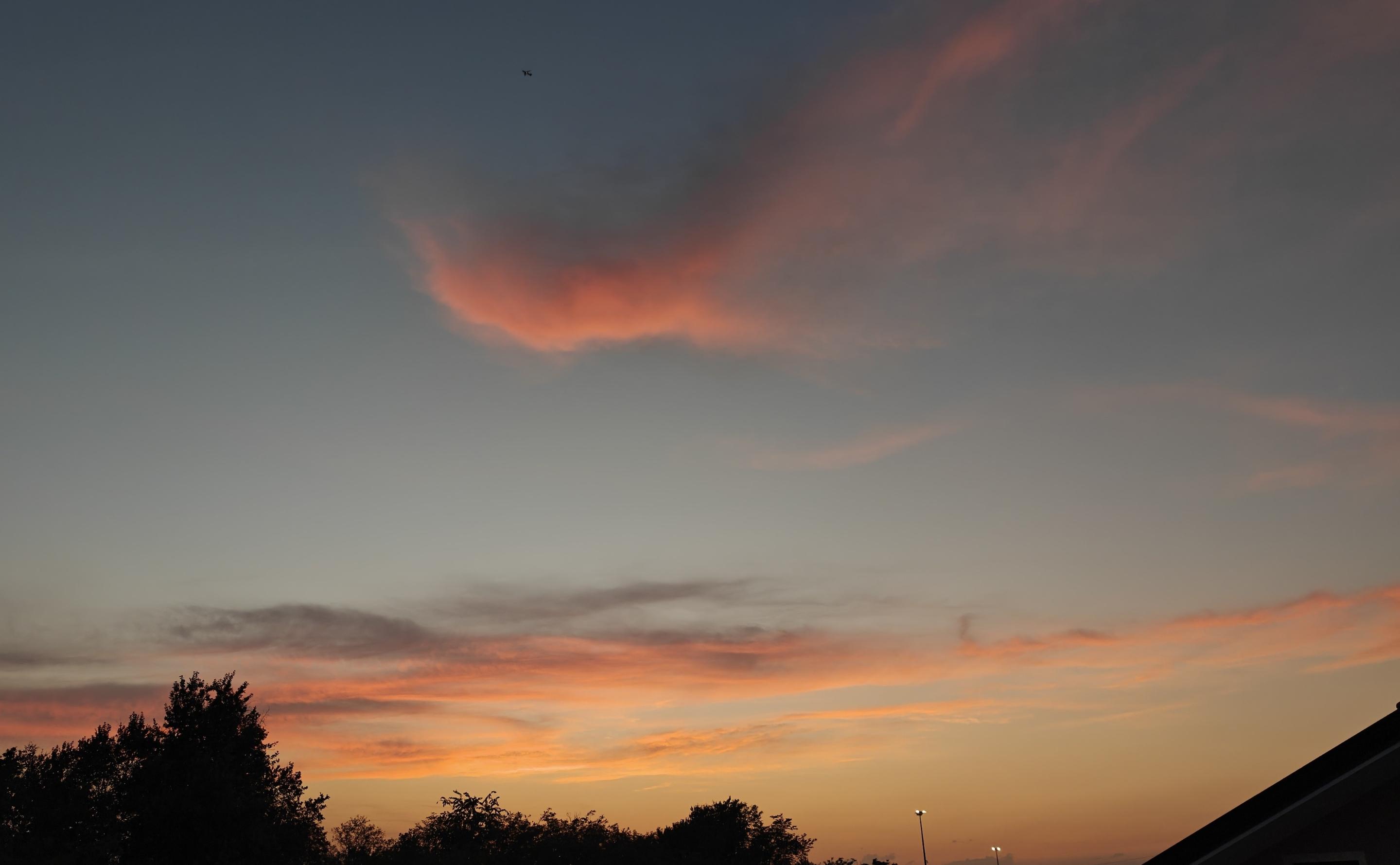 Il tramonto catturato nell'immagine si distingue per una transizione cromatica delicata e suggestiva, che sfuma dal calore dell'orizzonte alla freddezza del cielo superiore.Colori e SfumatureOrizzonte dorato: Un bagliore arancione intenso e giallo vivo illumina la parte più bassa del cielo.Cielo superiore: La transizione vira verso tonalità di azzurro tenue e grigio-azzurro freddo.Nuvole illuminate: I riflessi solari tingono le nuvole di sfumature rosa, salmone e magenta.Struttura delle NuvoleNuvole basse: Strati sottili e allungati si sviluppano orizzontalmente sopra la linea degli alberi.Nuvola centrale: Una formazione isolata e più densa cattura la luce rosa, stagliandosi nitidamente.Nuvole alte: Velature leggere e sfilacciate si disperdono verso l'alto sulla destra.Elementi in SiluettaProfilo vegetale: Sagome scure di alberi coprono la base sinistra della composizione.Linee urbane: Sulla destra emerge il profilo geometrico del tetto di un edificio.
