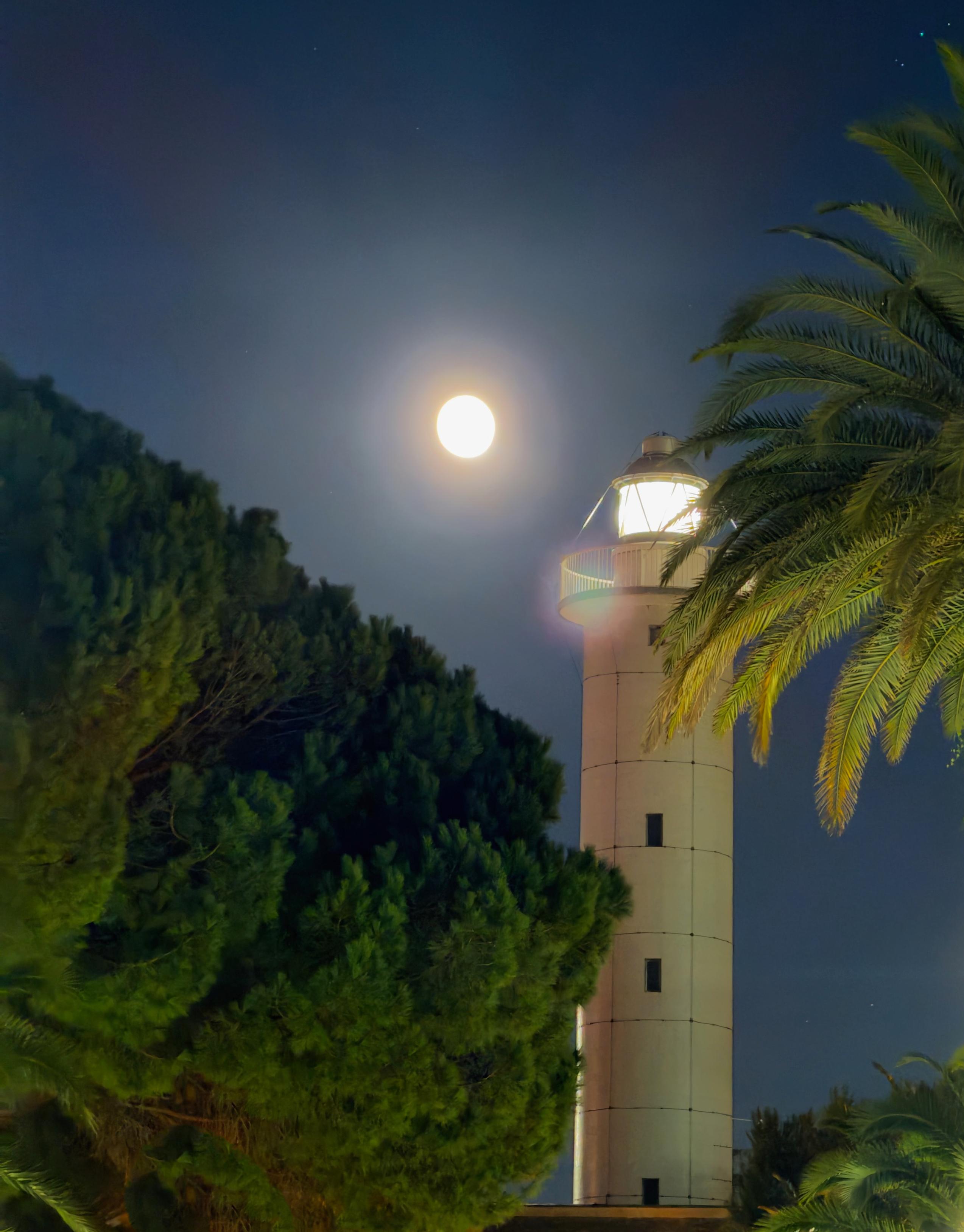 Faro con luna piena in cielo notturno, circondato da alberi e palme.