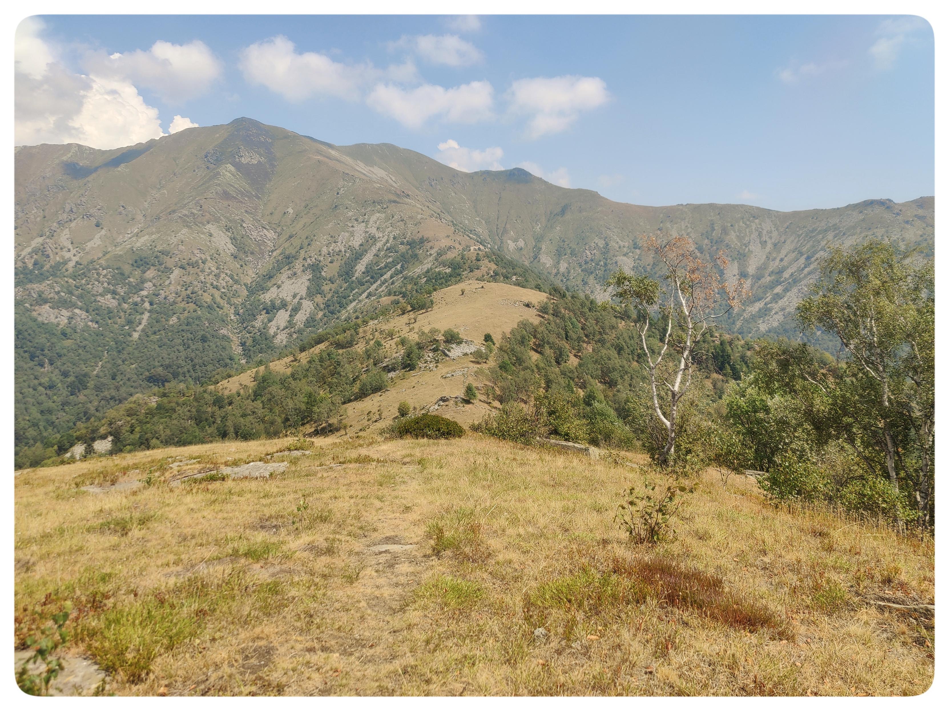 La cresta dell'alpe.
La prateria della prima foto, fotografata dalla cresta.
La metà alta della foto racchiude le montagne che chiudono la valle e il cielo. Poche nuvole bianche si intravedono. Le montagne sono secche e i boschi solo nella loro parte più bassa.
In primo piano si vede il pascolo. Si vedono meglio i piccoli alberi e arbusti che resistono alla siccità. La situazione è la stessa sui due versanti della cresta.