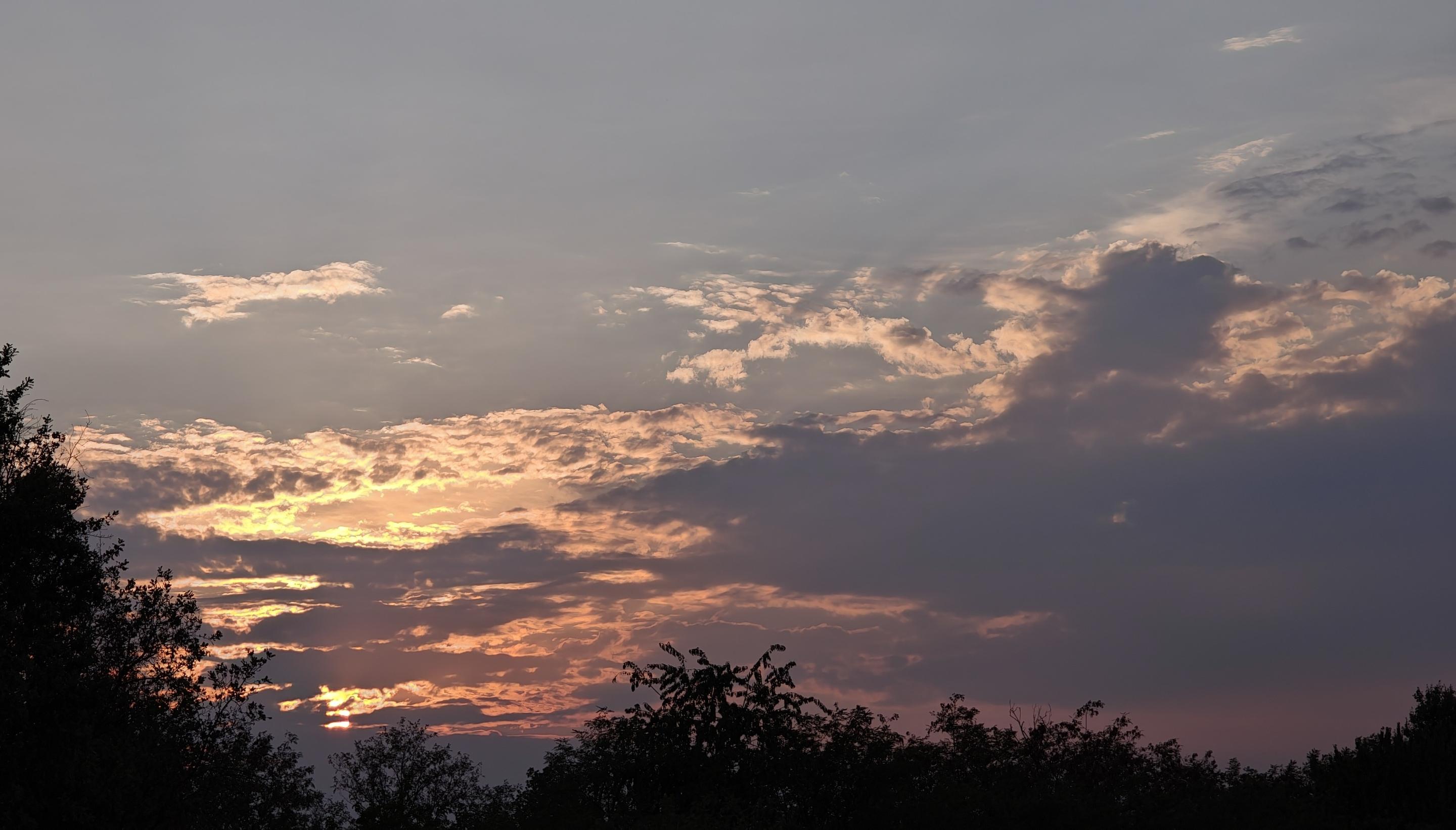 L'immagine mostra un tramonto suggestivo, caratterizzato da un cielo parzialmente coperto da nuvole e dalla sagoma scura della vegetazione in primo piano.Ecco i dettagli principali della scena:Il cielo: La parte superiore presenta tonalità sfumate di azzurro chiaro, grigio e lilla.Le nuvole: Sono disposte a strati e riflettono la luce del sole calante. Sul lato sinistro sono illuminate da intense tonalità giallo-arancioni e dorate, mentre sulla destra appaiono più dense, scure e violacee.Il sole: Si trova molto basso sull'orizzonte, seminascosto tra le nuvole e i rami sul lato sinistro, creando un punto di forte luminosità calda.Il primo piano: La parte inferiore dell'inquadratura è occupata dalle silhouette scure e indistinte di alberi e cespugli, che contrastano nettamente con i colori accesi del cielo.