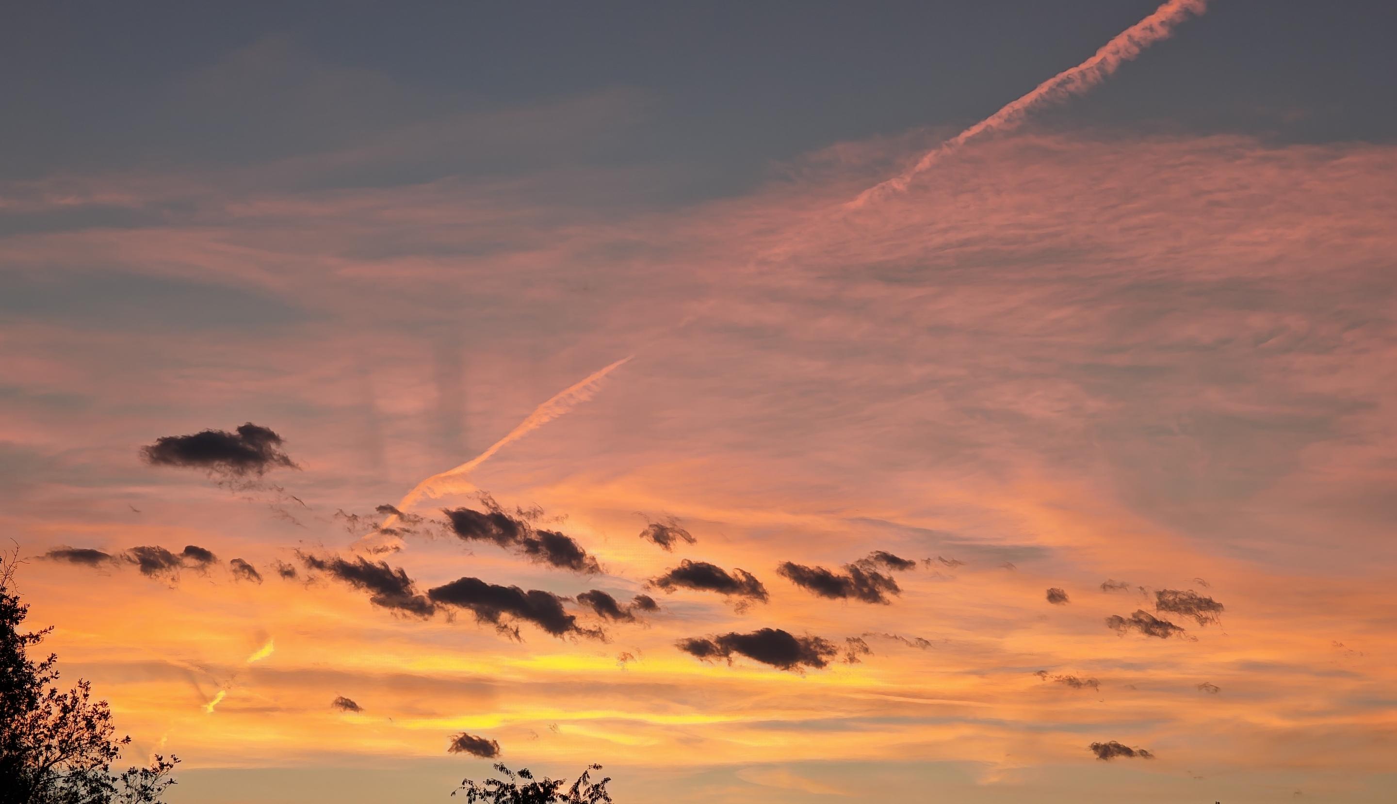 L'immagine mostra un suggestivo e vivido tramonto caratterizzato da una ricca sfumatura di colori caldi e freddi che si intrecciano nel cielo.Colori e LuceGiallo e arancione intenso: Illuminano la parte inferiore, vicino all'orizzonte.Rosa e magenta: Colorano le nuvole stratificate nella fascia centrale e superiore.Azzurro e grigio-blu: Sfumano sullo sfondo nella parte più alta del cielo.Nuvole e AtmosferaNuvole scure: Piccoli cumuli neri e grigi contrastano nettamente con lo sfondo luminoso.Scia chimica di condensazione: Una linea diagonale arancione taglia il cielo a sinistra.Elementi naturali: Profili scuri di alberi ed elementi vegetali spuntano nell'angolo in basso a sinistra.