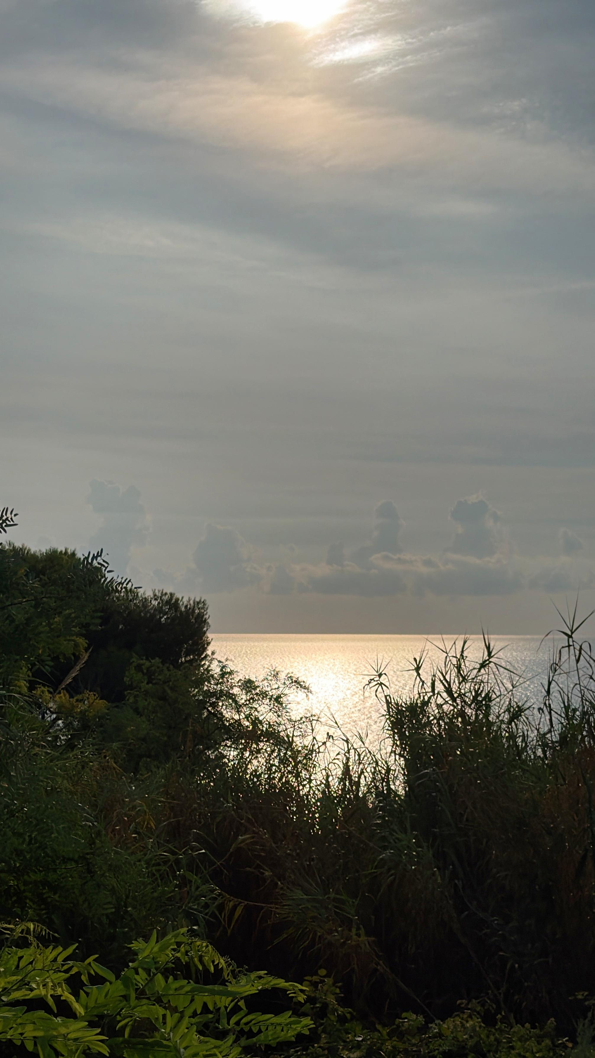 A scenic view of the sea with the sun partially obscured by clouds, surrounded by lush green foliage in the foreground.