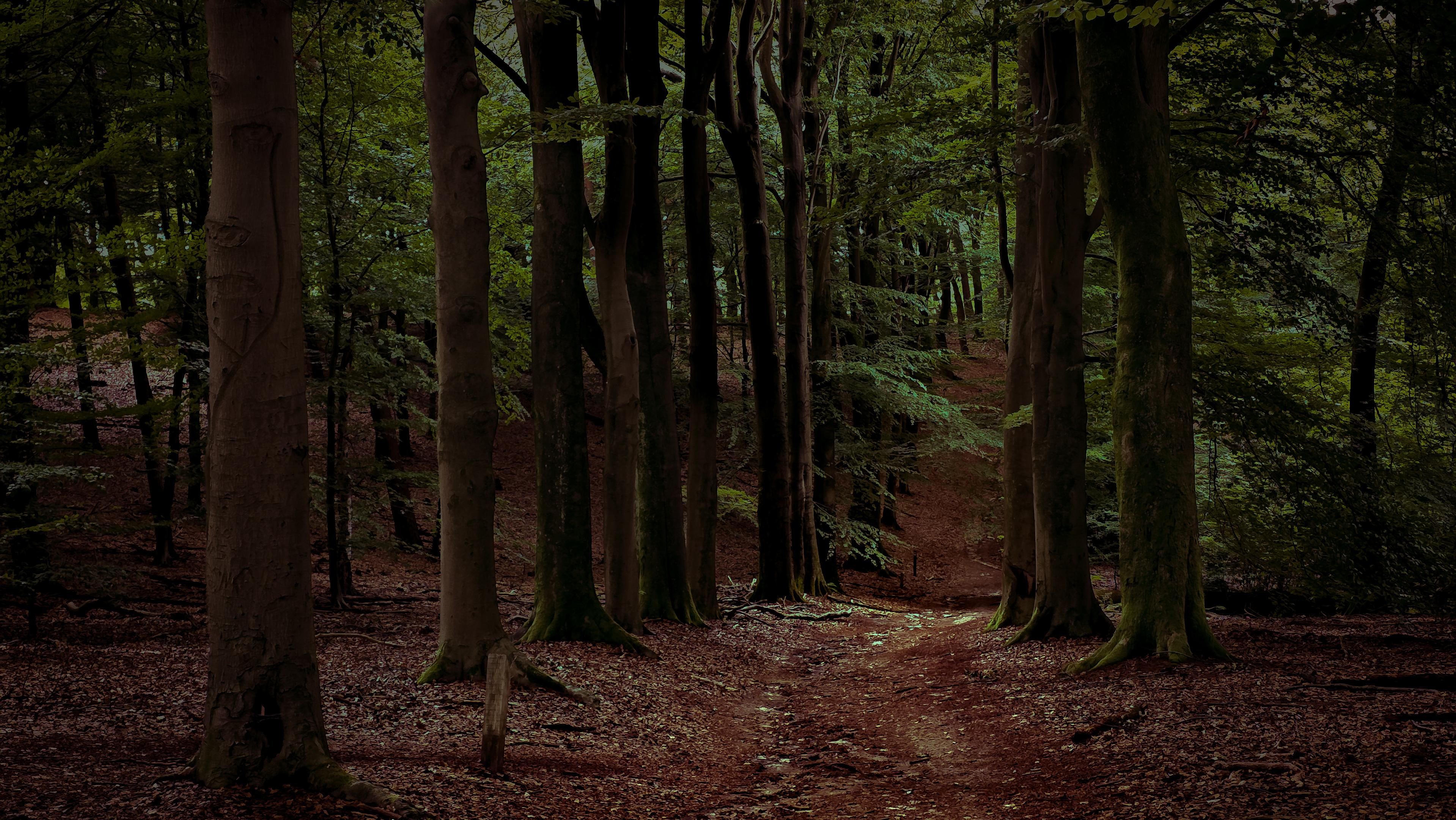 Nationaal Park Veluwezoom