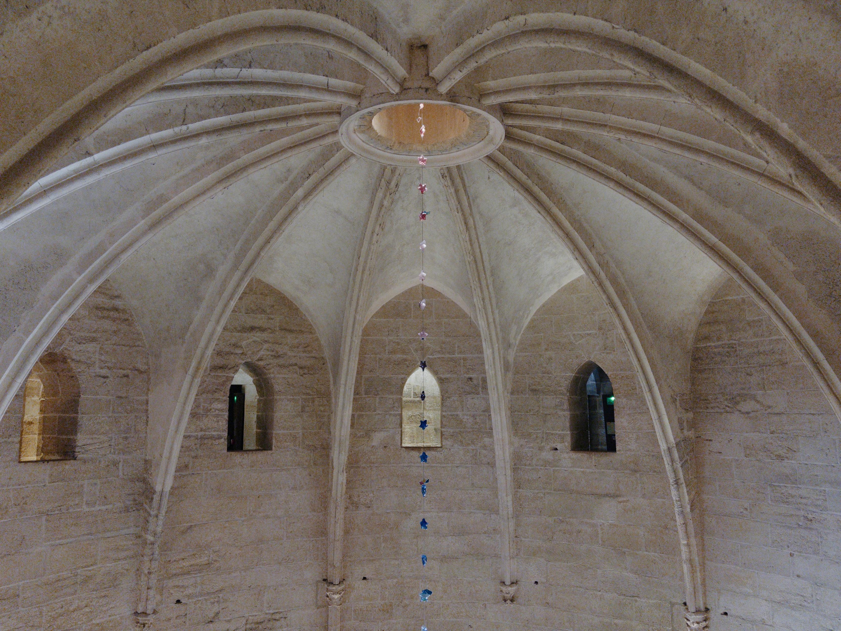 L'immagine mostra l'interno di una sala in pietra di epoca medievale,  all’interno della Tour de Constance. 

Il soffitto è una volta costolonata in stile gotico, formata da numerosi archi nervati che convergono verso un'apertura circolare centrale (un oculo).
Le nervature in pietra creano una forma simile ai petali di un fiore o alle nervature di una foglia, conferendo grande senso di simmetria.
Dall'oculo pende una sottile decorazione verticale composta da piccoli elementi colorati