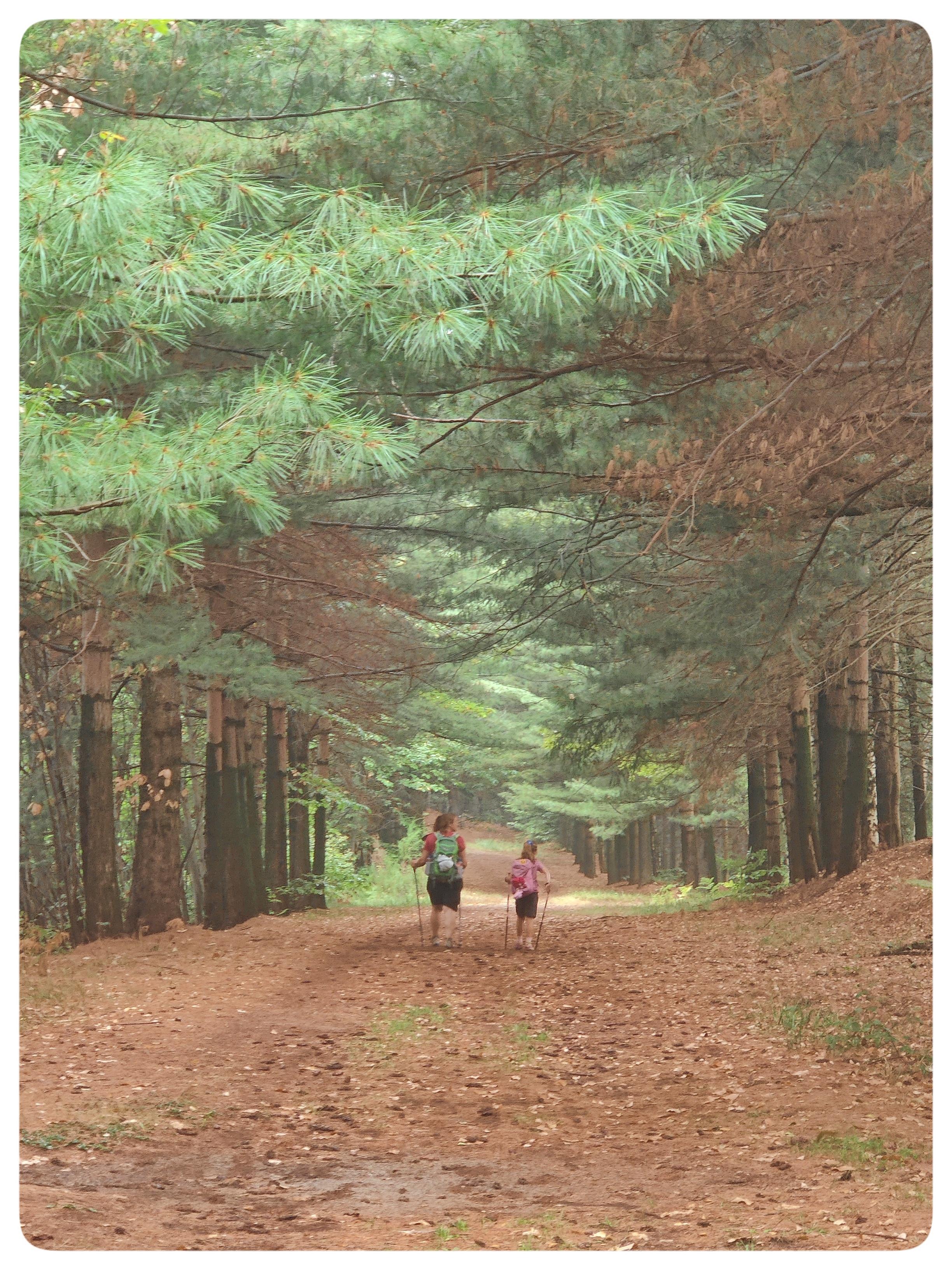 Un grande sentiero in mezzo a un bosco. La strada è coperta da foglie secche. Ai lati della strada si alzano alberi in fila, con foglie di vari colori che vanno dal verde all'arancio.
Al centro del sentiero, due donne camminano zaino in spalla. La più piccola ha 8 anni, la più grande è la mamma.