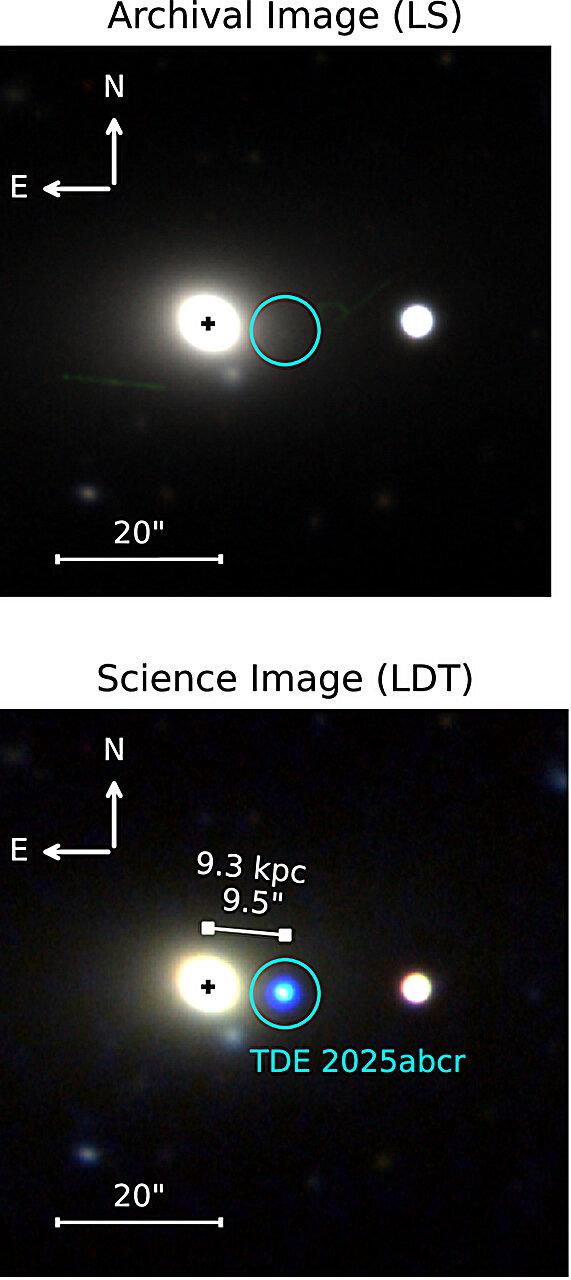 In alto: immagine composita d’archivio nelle bande g, r, i tratta dal LS DR10, con la posizione del transiente (cerchio blu) e della galassia ospite (contrassegnata con il simbolo + nero). In basso: immagine composita nelle bande u, g, i di TDE 2025abcr, ottenuta con il LDT il 14 dicembre 2025. Il transiente (cerchiato in blu) si trova significativamente distante (9,5 secondi d’arco / 9,3 kpc) dal centro della galassia ospite WISEA J014656.04-152214.7.