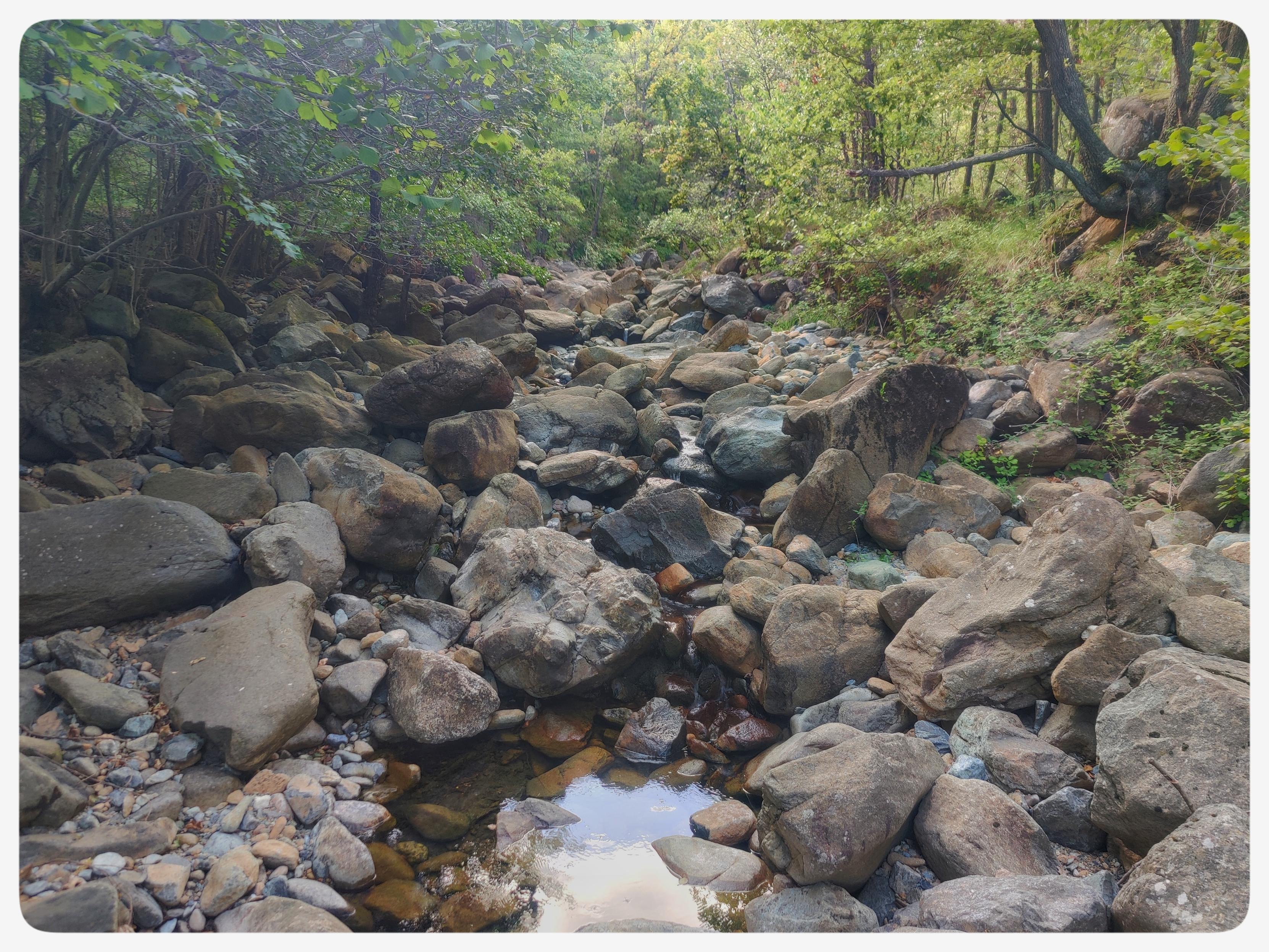Foto ravvicinata del letto di un torrente di montagna in un bosco.
La scena è occupata quasi interamente dalle rocce che normalmente sono coperte dall'acqua.
L'acqua è visibile al centro dell'immagine, in una piccola pozza.
Sullo sfondo, gli alberi del bosco.