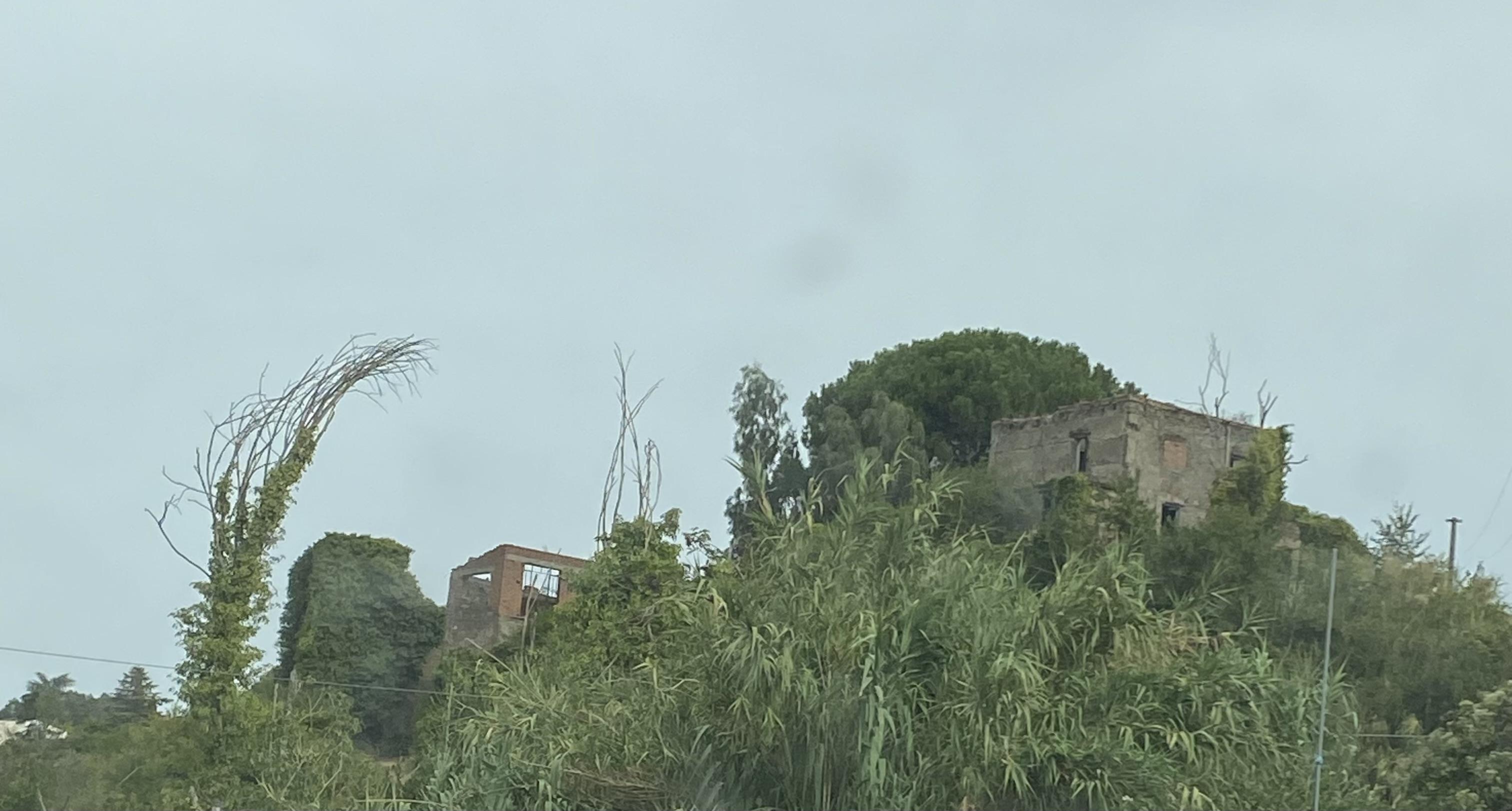 Ruins of a medievale castle half hidden by wildly unruly vegetation