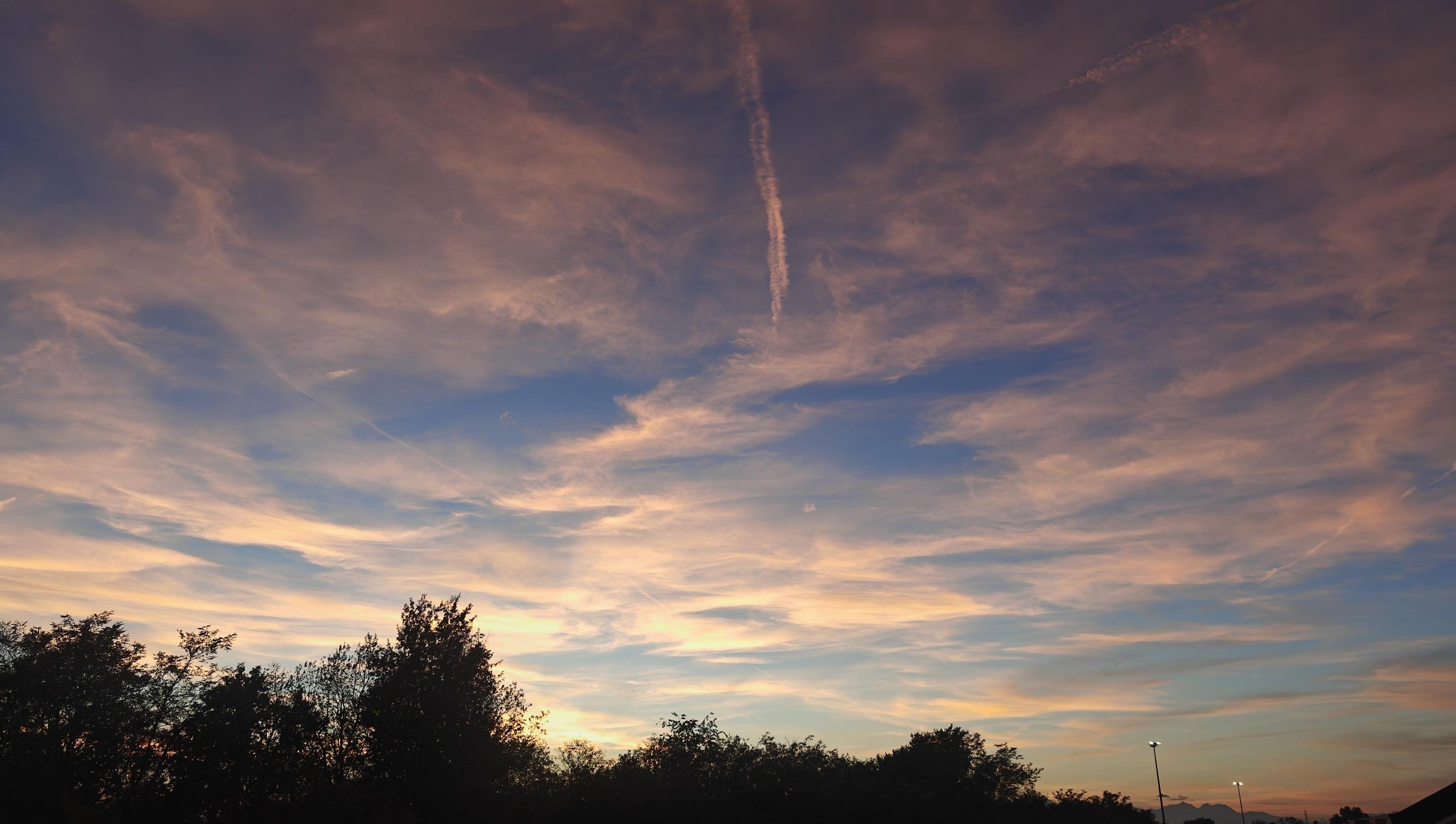 Un tramonto colora il cielo con sfumature che vanno dall'arancione dorato al rosa intenso, contrapponendosi a uno sfondo azzurro e blu notte.Il panorama si divide in tre fasce principali:La linea dell'orizzonte: È delineata dalla sagoma scura degli alberi in controluce. Subito sopra la vegetazione, si sprigiona una luce calda e dorata che segna il punto in cui il sole sta scomparendo.I colori del cielo: Salendo verso l'alto, la luce vira rapidamente dal giallo all'arancione chiaro, sfumando poi in un azzurro limpido.Le nuvole: Grandi nuvole sottili e sfilacciate, simili a veli, coprono gran parte della volta celeste. Sono interamente illuminate dal sole calante, che le tinge di tonalità rosa e lilla. Spicca inoltre una scia chimica verticale lasciata da un aereo, anch'essa colorata di un rosa acceso.