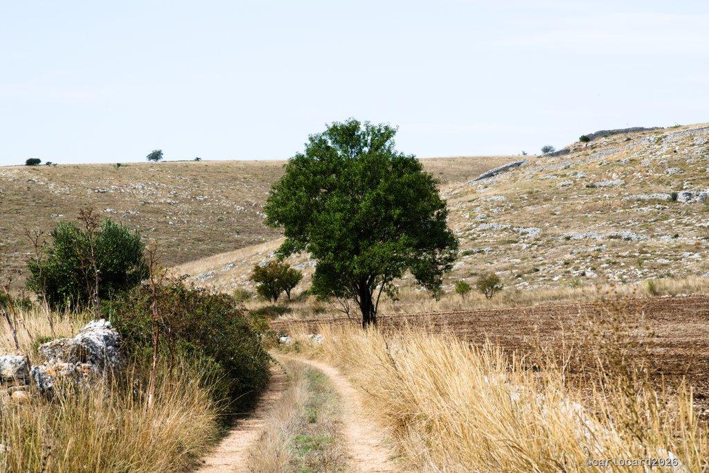 Paesaggio dell'Alta Murgia barese nel territorio di Santeramo (Ba) nel parco nazionale dell'Alta Murgia. Puglia, Italia.
