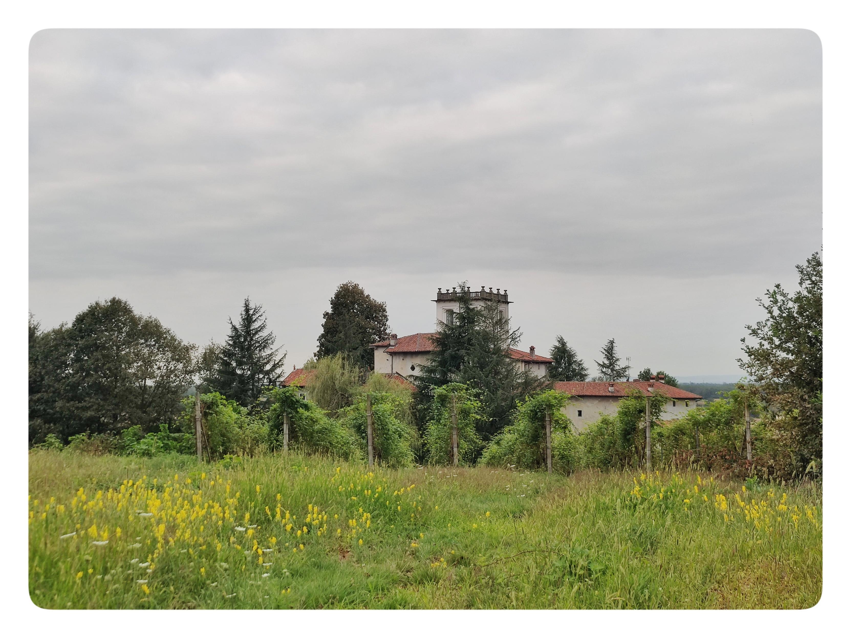Il Castellone di Fara Novarese (o Castrum Vetus). La foto è stata fatta dalla collina sopra al castello (e al paese). La parte bassa della scena è occupata da un prato. Si vedono anche alcuni filare e degli alberi. La torre del castello si vede dietro agli alberi più alti. Il castello è intonacato. Oggi è una villa e non ha molte tracce del suo passato. Il cielo è ancora grigio (ma andrà meglio).